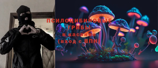 бошки Корсаков