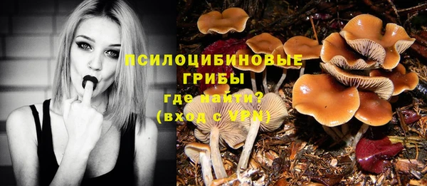бошки Корсаков