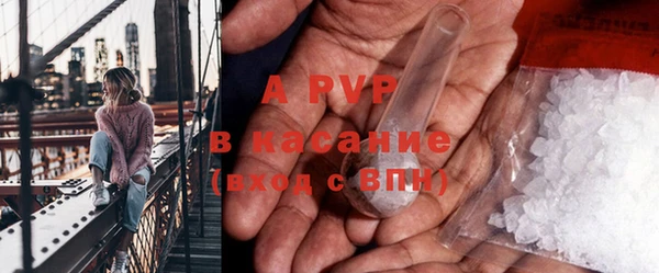 бошки Корсаков