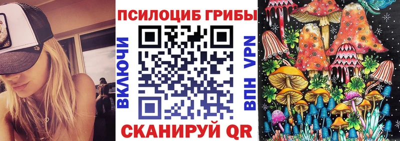 купить закладку blacksprut вход Псилоцибиновые грибы мухоморы Москва