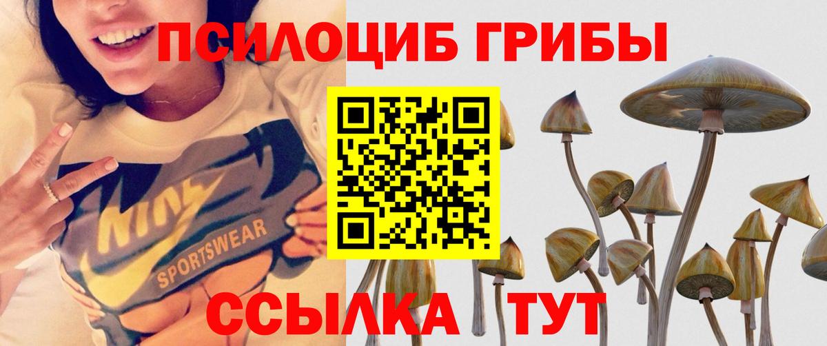 Псилоцибиновые грибы Psilocybe  Вход с VPN  Москва 